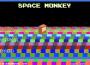 Super space monkey